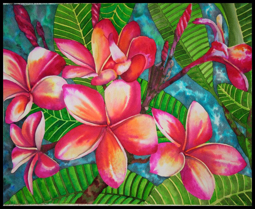 Plumeria Series V